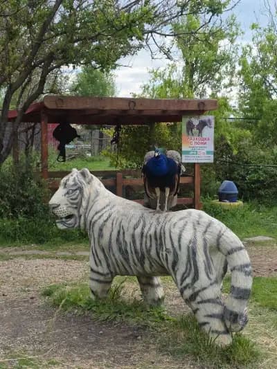 Зоопарк Бургас