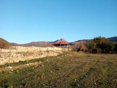 ВИМЕКС