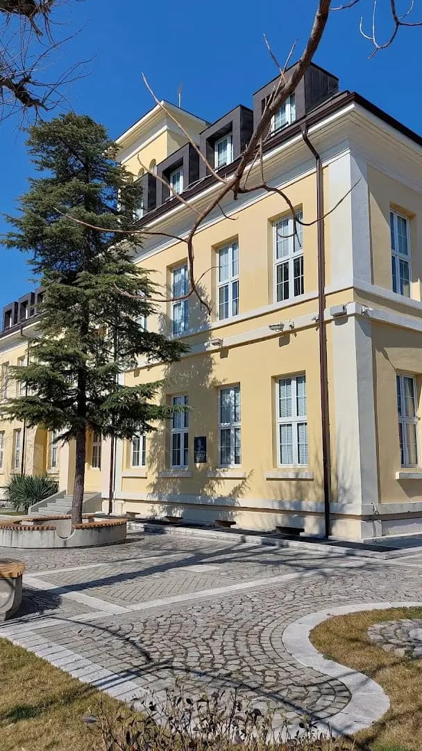 Национална Художествена Гимназия "Димитър Добрович"