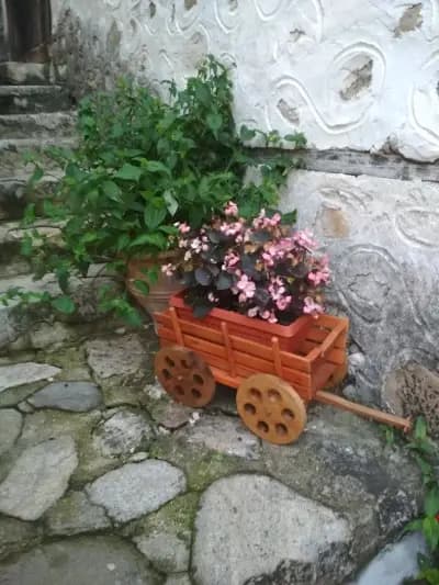 Хубава кръчма - Любовно вино