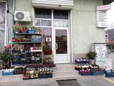 Малки Тайни