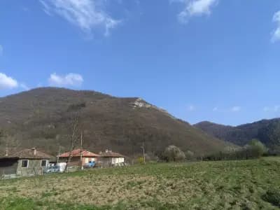 Hotel Aleksandrina
