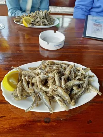 OCEAN Bar & Dinner