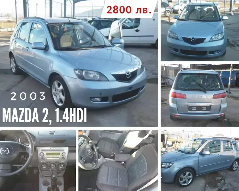 Max Auto 2010