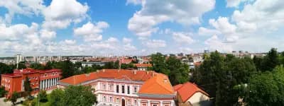 ВИПИМЕКС