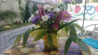 Йога Център Баланс