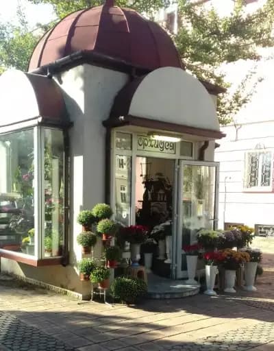Цветарница Орхидея