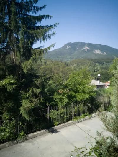 The House with the Three Fir Trees (Tri Eli)