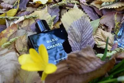 Triquetra Massage Center