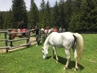 Horse Riding Smolyan