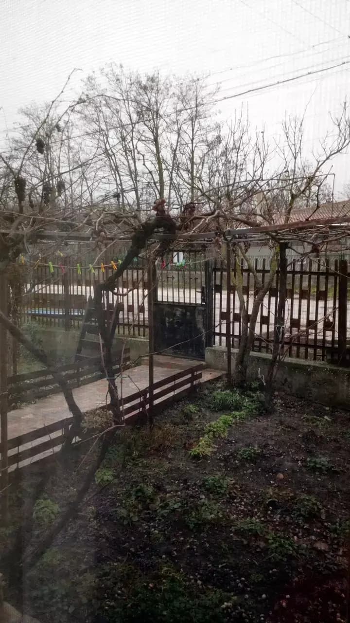 ЦЕЛОДНЕВНА ДЕТСКА ГРАДИНА (ЦДГ)