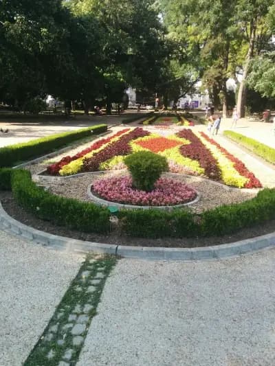 Кино "Икар"