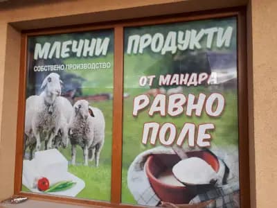 Млекарница Мандра Равно Поле