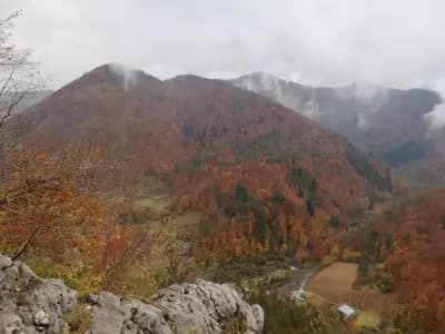Пещера „Ухловица“