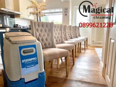 MAGICAL CLEANING