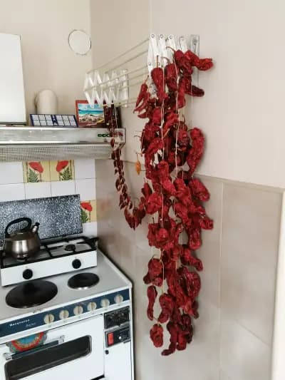 Ски втора ръка