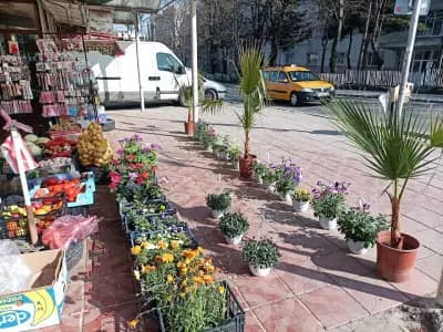 Снек Бар "Кобрата"