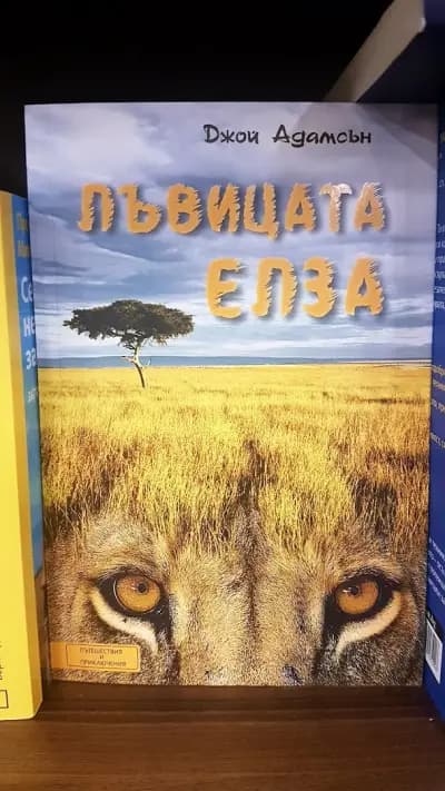 КНИЖАРНИЦА СИЕЛА - Paradise Center Sofia