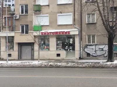 Книгомания