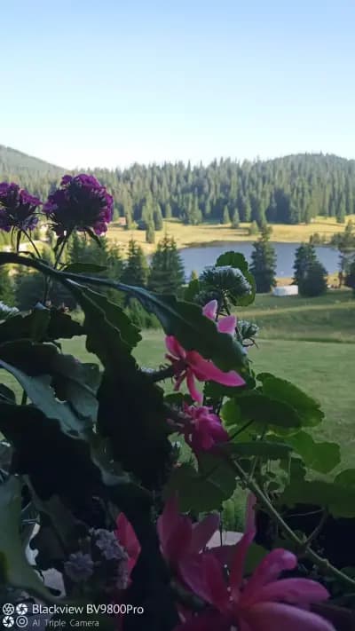ХОТЕЛ РОДОНА
