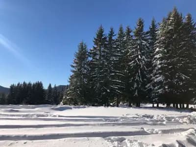 Smolyan Lakes Apartment / Апартамент Смолянски езера