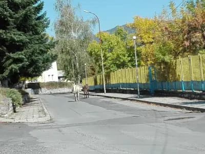Супермаркет ПАНОРАМА ББ
