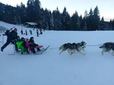 Ski School Banko Pamporovo - Ски училище Банко Пампорово