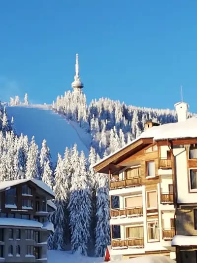 Ski School Banko Pamporovo - Ски училище Банко Пампорово