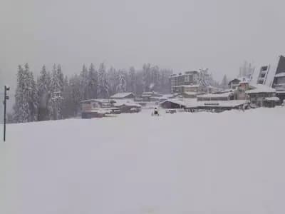 Ski School Banko Pamporovo - Ски училище Банко Пампорово