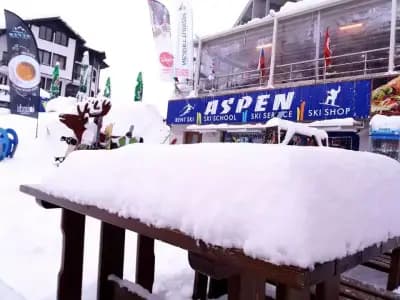 Ski School Aspen- Pamporovo