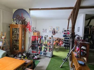 Skielite