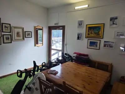 Skielite