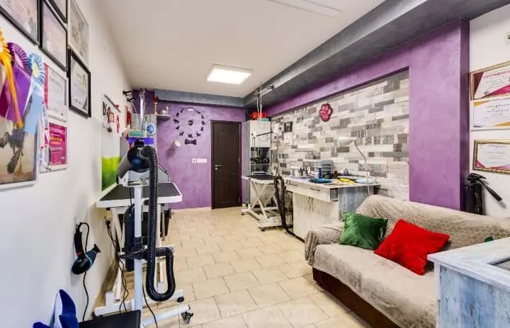 Груминг услуги Русе Grooming Studio GAGI