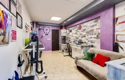 Груминг услуги Русе Grooming Studio GAGI