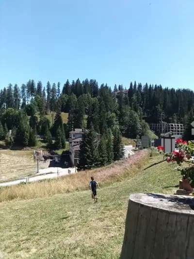 Бялата къща
