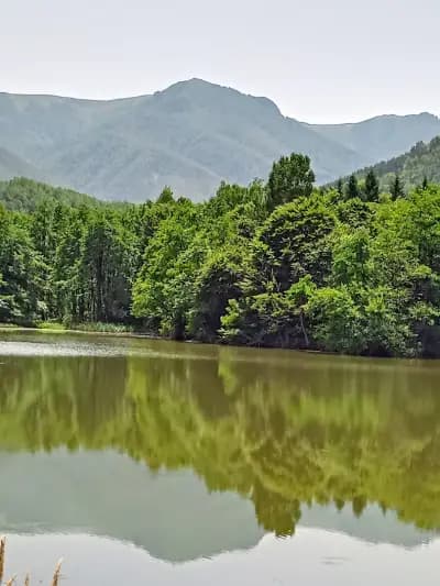 Хотелски комплекс Тодорини кукли
