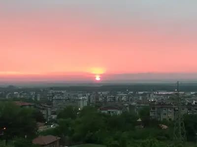 ПАЦОНИ