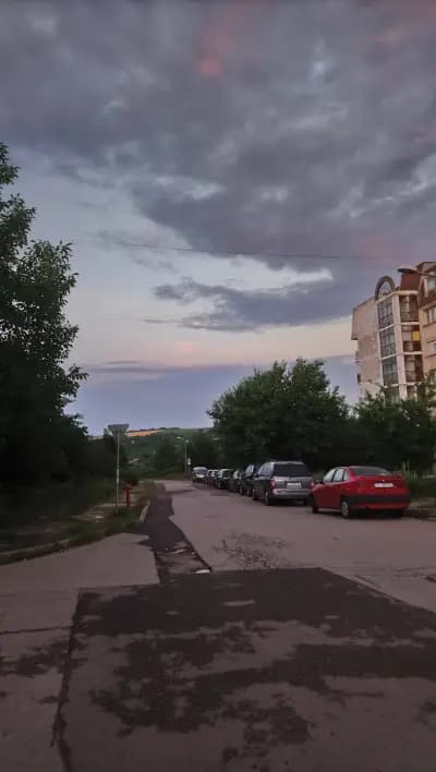 Пацони-Дружба 3