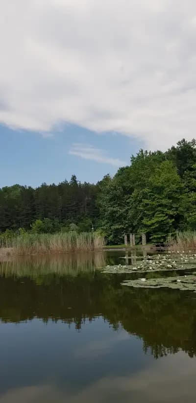 Rezidencija Lipnik
