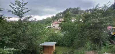 The Pink House