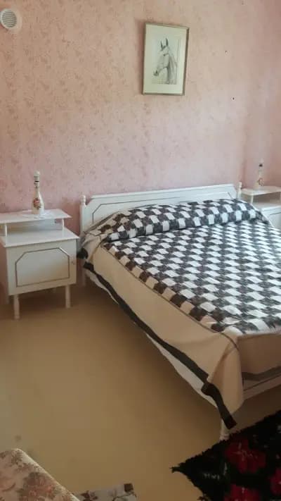 The Pink House