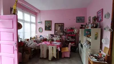 The Pink House