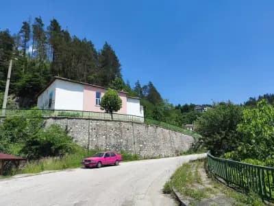 The Pink House