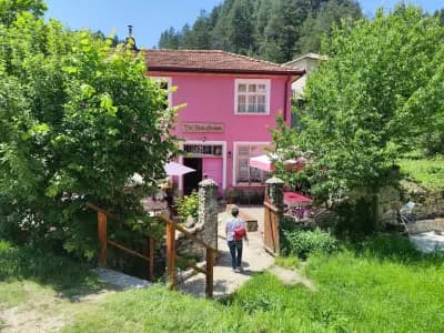 The Pink House