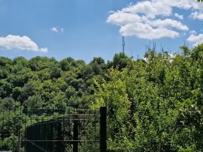 Хотел Черният Щъркел