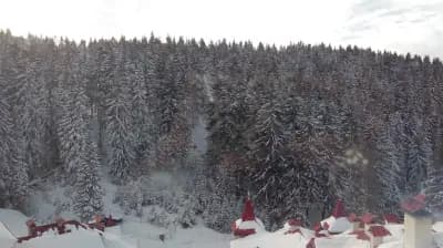 Комплекс Замъка