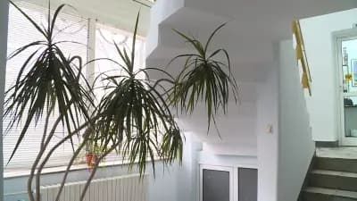 БУЛСТРАД - ГЕНЕРАЛНА АГЕНЦИЯ