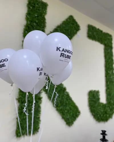 Kangoo Club Krisi