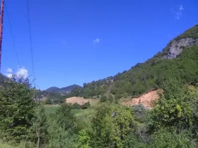 The Mother-in-Law House