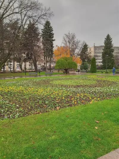 Община Русе